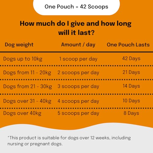 Buddy & Lola Dog Weight Gainer Supplement - Protein For Dogs, Helps Build Muscle, Aids Recovery, Great for Fussy Eaters, A Must Have For Rescue Dogs Who Need to Gain Weight and Build Muscle - Image 4