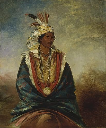 Poster George Catlin affiche decorative art mural peinture de salon grand format 60x90 cm