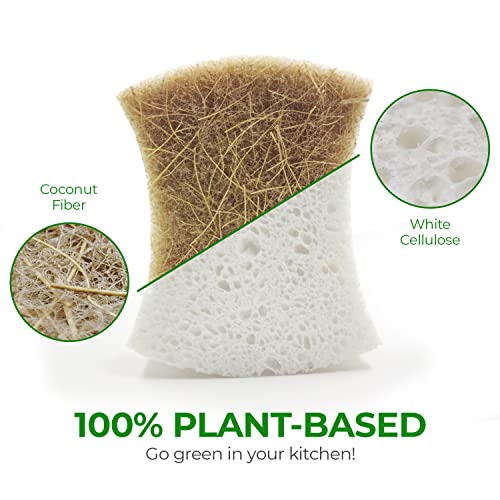 Biodegradable Natural Kitchen Sponge - Compostable Cellulose And Coconut Walnut Scrubber Sponge - Pack Of 12 Eco Friendly Sponges For Dishes #TOP1