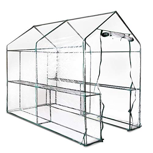 lawn best backyard greenhouse