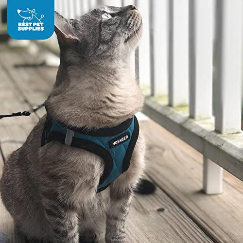 Voyager Step-In Plush Dog Harness – Soft Plush, Step In Vest Harness For Small And Medium Dogs By Best Pet Supplies - Turquoise Plush, L (Chest: 18 - 20.5") #TOP5