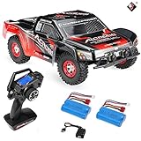 MODELTRONIC Coche Rally Radio Control XK Wltoys 12423 Escala 1/12 emisora Display LCD 2.4G 4x4 Alta Velocidad 50km/h Crawler Desert Offroad / Incluye 2X baterías LIPO