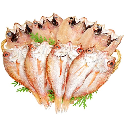 お年賀 ギフト 高級 のどぐろ 干物 1枚約60g×8尾【冷凍】国産 一夜干し ギフト お祝 お誕生日 越前宝や