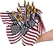 100 Pack Small American Flags on Stick, 4x6 Inch Small US Flags/American Flags for Outside, Mini Hand Held Stick Flags, Memorial Day,250 Anniversary, 4th of July Decorations,Patriotic Decorations