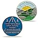 7 Month Sobriety Coin - AA Recovery Medallion with Walking Path Design and Motivational Quote, Celebrate Sobriety Present for Men and Women, Inspirational AA Member Token