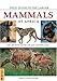 Field Guide to the Larger Mammals of Africa (Field Guide S.) - Stuart, Chris, Stuart, Tilde