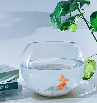 ガラス水槽 中型 透明 Amazon | 水槽平口ガラス金魚タンクオーバルウルトラホワイト