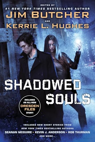 Shadowed Souls view 2