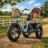 QRONGE Electric Tricycle for Adults 960W...