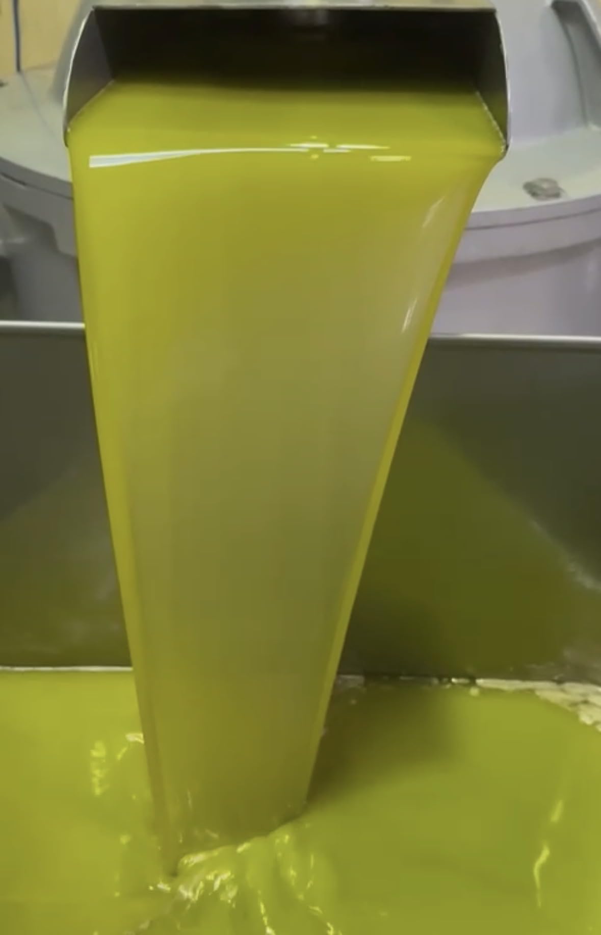 Olio Extravergine di oliva Biologico in Latta da 5 litri.