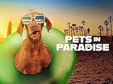 Pets in Paradise