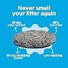 Boxie Unscented 30 Day Odor Control Clumping Clay Cat & Kitty Litter 16 lb, 99.9% Dust-Free, Hard Flat Top Clumps, No Fragrances No Fillers, Long-Lasting, Easy to Scoop