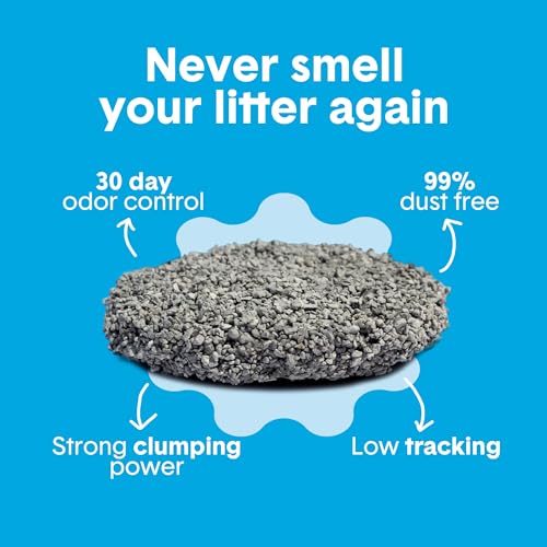 Boxie Premium Unscented Clumping Cat Litter 30 Day Odour Control 40 lb - Image 4