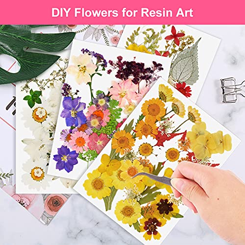127 Stuks Echte Gedroogde Geperste Bloemen Wikay Natuurlijke Bloemen Geperste Bloem Blad Voor DIY Hars Sieraden Maken… - Afbeelding 6