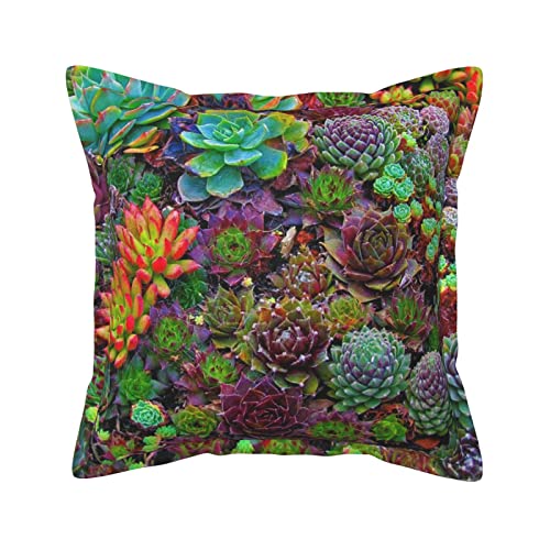 Housses de coussin simili cuir imprimé : le raffinement pour canapé