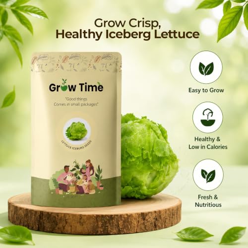 Image of Lettuce Iceberg Vegetable Seeds, Vegetable Seeds for Home Gardening, Vegetable Planting Seeds for Kitchen, Lettuce Iceberg Seeds (Green, Pack of 2g)