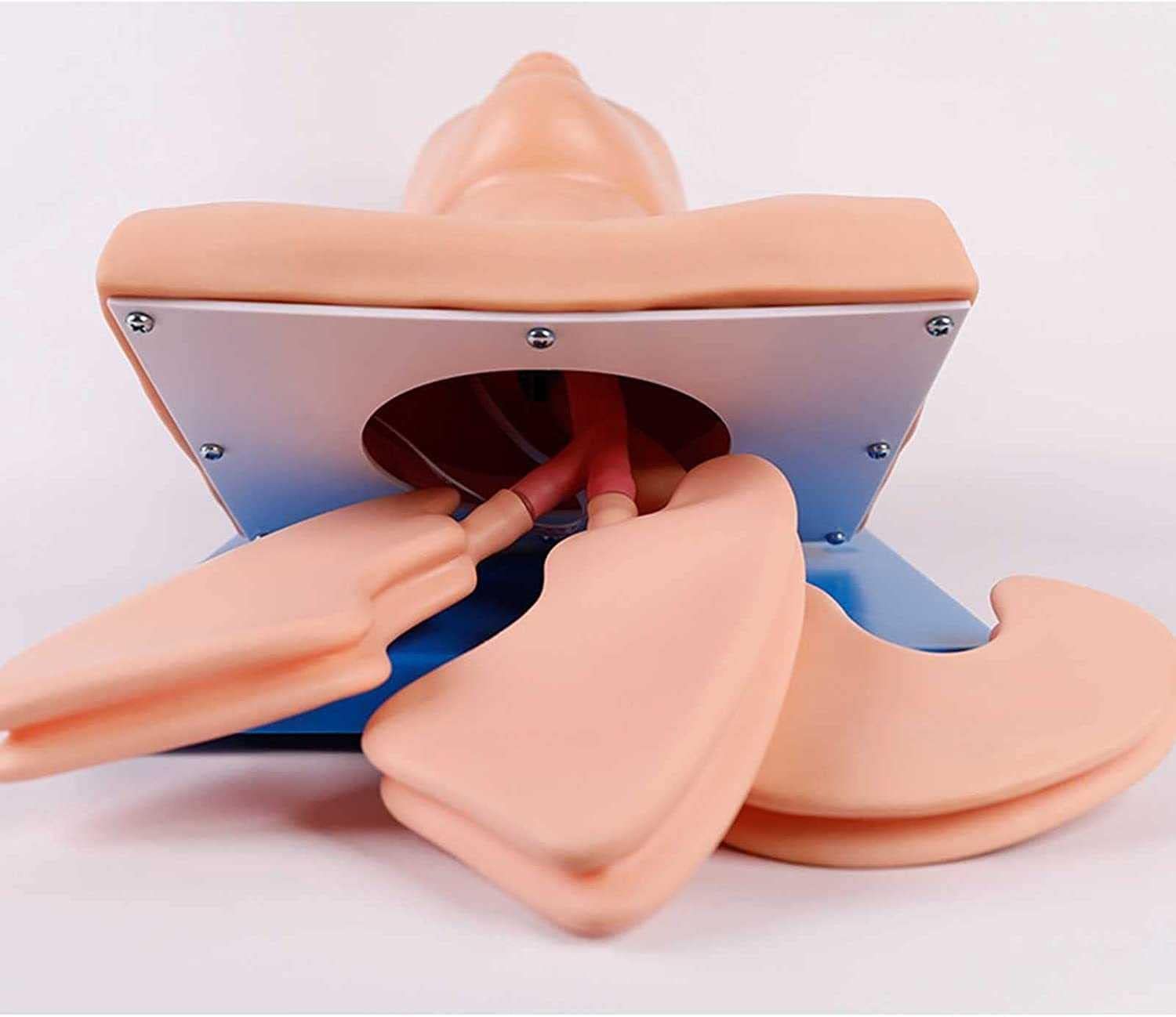 CHROX Entrenamiento Femenino Enfermería Paciente Modelo Humano Cuidado Maniquí Demostración Multifunción Maniquí Cuerpo con 24 Artículos Operaciones Básicas De Enfermería,165Cm