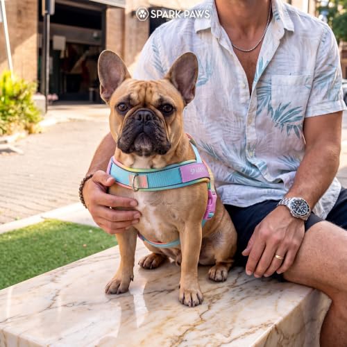 Image of Spark Paws No Pull Front Clip Dog Harness - Easy On, Padded and Lightweight | Two Clips, On in Seconds, Chest Bearing, Australian Style, No Throat Pressure, for Small Medium and Large Breeds