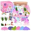Kit Terrarium DIY avec Jouet Licorne, Kit de Bricolage Licorne Lumineux Jouets Licorne, avec télécommande et Lumières LED, Excellent Cadeau d'anniversaire pour Enfants de 4-12 Ans (Licorne)