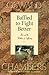 Baffled to Fight Better: Job and the Problem of Suffering