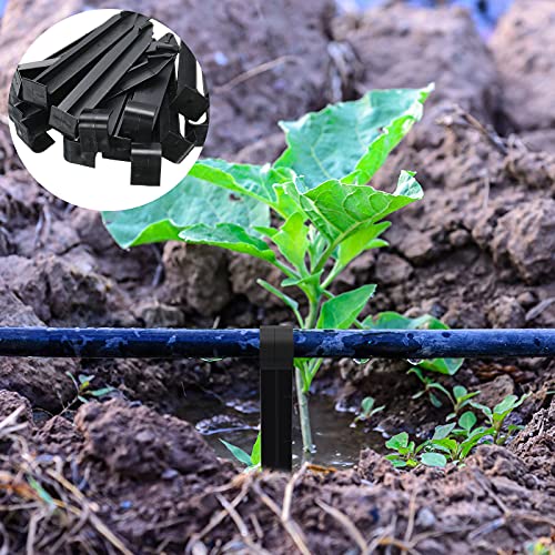 Piquets d'ancrage tuyau 1,27 cm avec goutteurs terrasse et pelouse