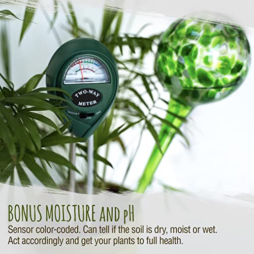 Cotswold Homeware Co Plant Watering Globes - Plant Watering Devices - Plant Watering Bulbs - Self Watering Spikes -Decorative Hand Blown Glass - Watering Bulbs - Free Moisture Meter 4 Large Size #TOP4
