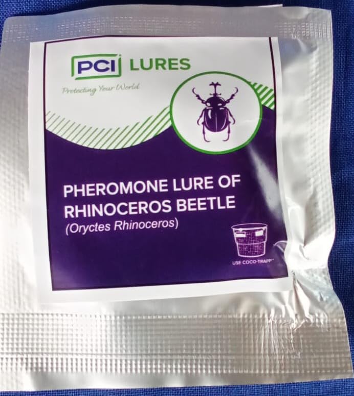 PCI Lures - PHEROMONE Lure of Rhinoceros Beetle (oRYCTES Rhinoceros) | PCI LURES - PHEROMONE LURE OF RHINOCEROS BEETLE-picture-31