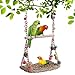 Vogelspielzeug f&uuml;r Wellensittiche, Nymphensittich Spielzeug mit Glocke Wellensittich Spielzeug Vogelk&auml;fig Zubeh&ouml;r Schaukel Vogel H&auml;ngende H&auml;ngematte Spielplatz f&uuml;r Finken Sittiche