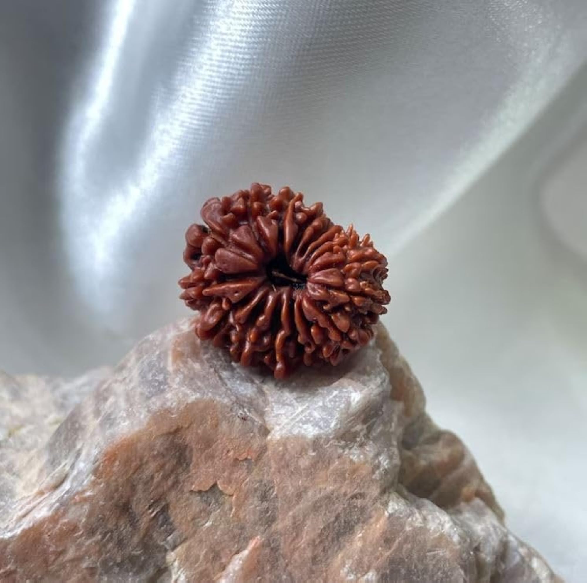 Original 15 Face Rudraksha Bead, IGL Certified