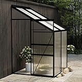  Leepesx Invernadero de jardín, Invernadero de Aluminio invernaderos Jardin Caseta de Plantas Gris Antracita 2,59 m³