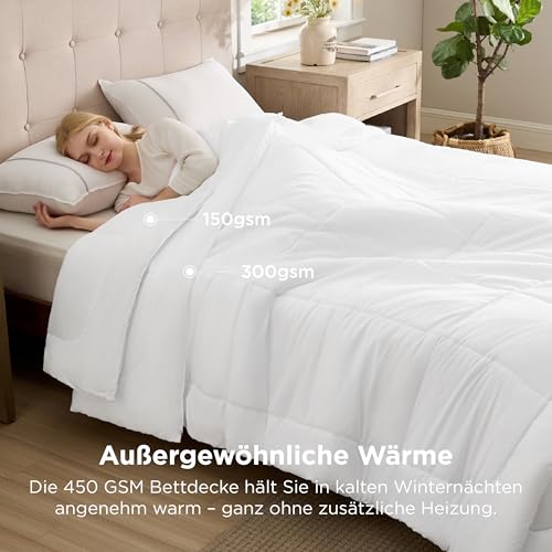 BEDSURE Bettdecke 135x200 Winterdecke 450gsm - 4 Jahreszeiten 2 teilig Bettdecken - Inklusive Ganzjahresdecke 135x200 300gsm & Sommerdecke 200x135 150gsm, Steppdecke für Winter/Sommer/Vierjahreszeiten