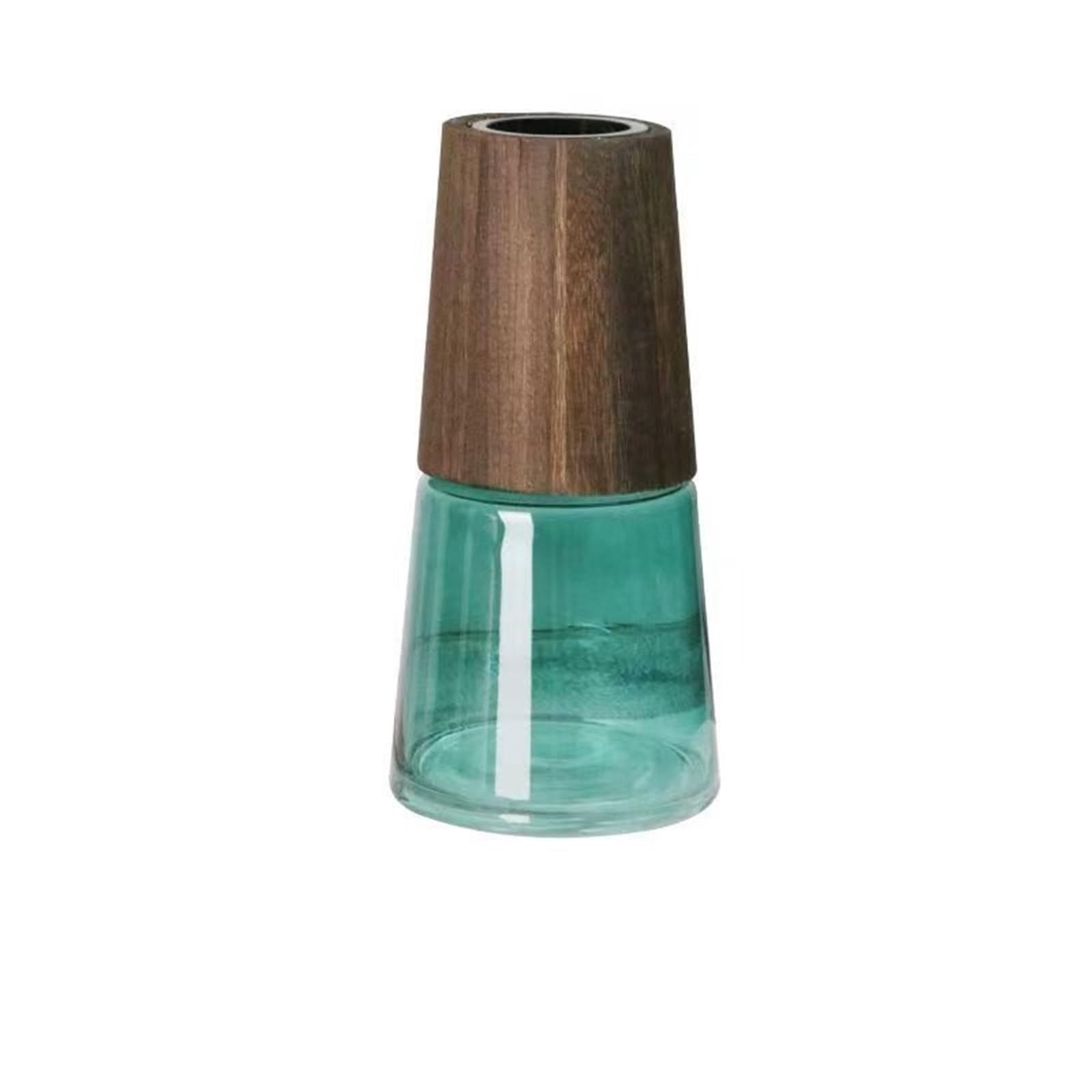 Geometric vase Simple Tabletop Glass Vase Landing South Hydroponic Ware Transparent Decoration flowers(Style 03)