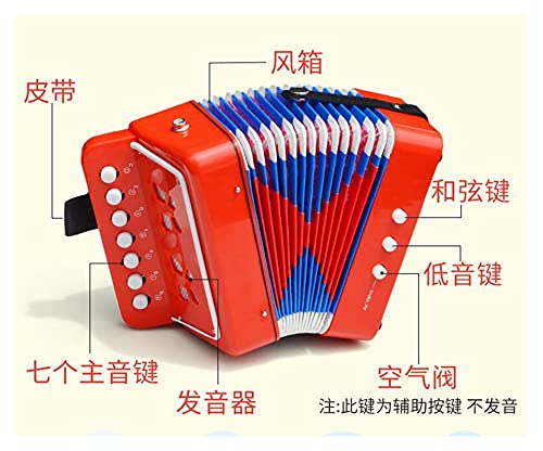 TYYLCZF Children's Accordeon Toys, Beginners, Muziekinstrumenten, Verlichting, Vroege Onderwijs, Muziek, Mini Piano… - Image 4