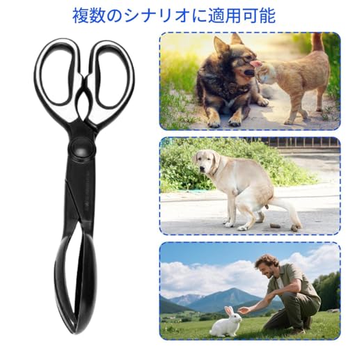 ptXRbv | ̎Őpq̔r - gȂsbJ[ANZT[ |  O Ő ԓ   peBI  K[f