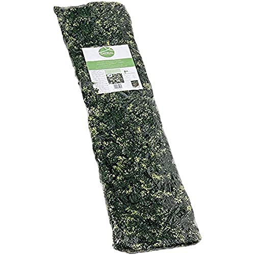 Treillis Extensible en Osier Cypress