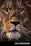  Notebook: Leone, Predatore, Pericoloso, Mane taccuino / agenda / quaderno delle annotazioni / diario / libro di scrittura / carnet / zibaldone - 6 x ... x 22,86 cm), 110 pagine, superficie lucida.