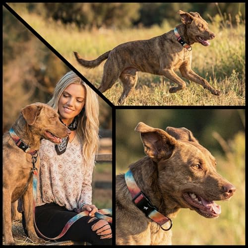 Image of Tuff Pupper Premium Adjustable Dog Collar for Large Girl Dogs, Stylish Pattern Collars Designed in USA, Quick Release Buckle, RadiantSkies Print for Female Dogs, Large (1 Inch Wide x 18-26 Inch Neck)