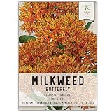 Seed Needs Orange Butterfly Milkweed Seeds for Planting - Heirloom & Untreated - Grow a Butterfly Garden to Attract Monarch Butterflies & Pollinators (1 Pack)