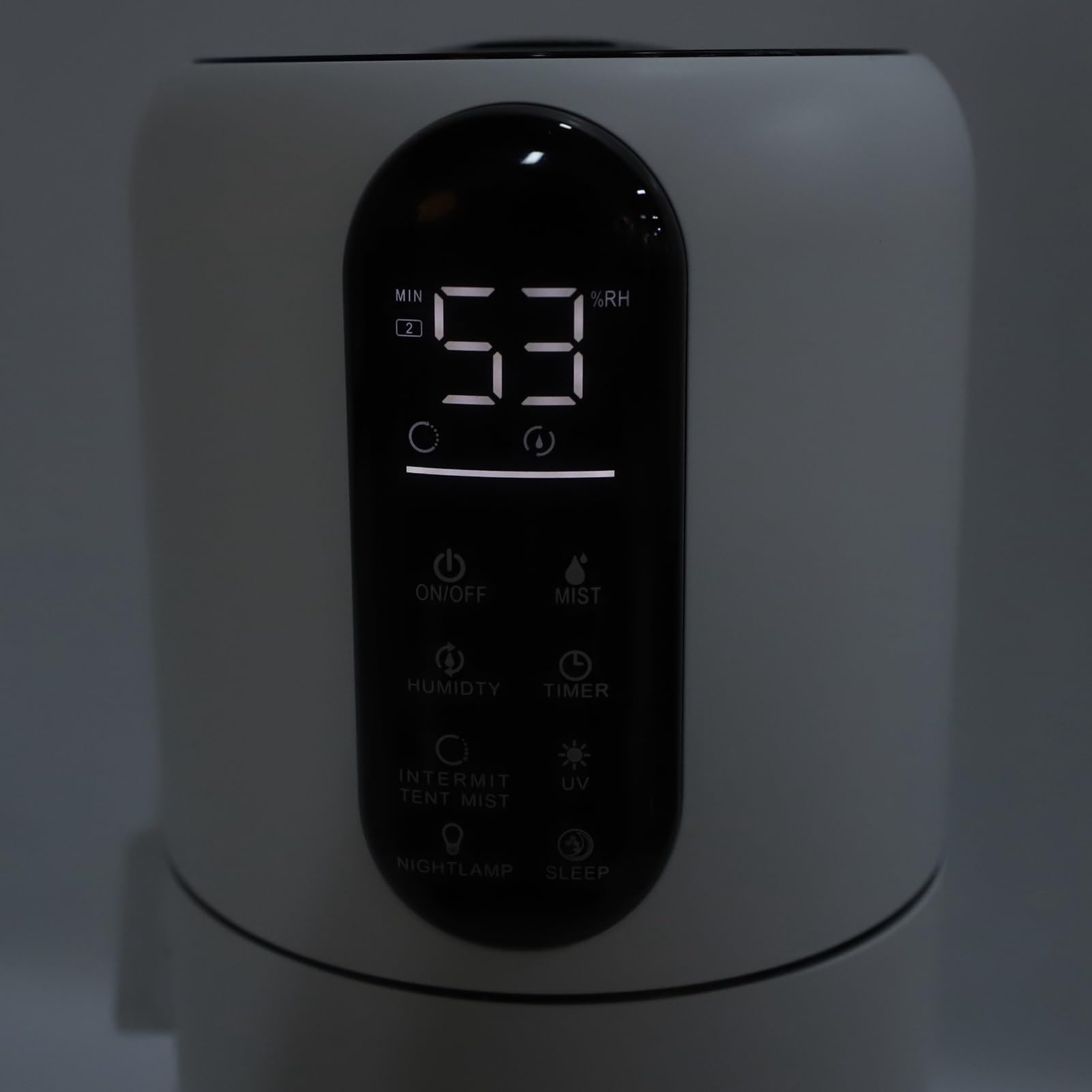 Umidificatore da Pavimento per la Casa, 25 W, Basso Rumore, 3 velocità, Umidificatore per Tutta la Casa, 9 Litri, Luce Notturna con Telecomando per Uso Domestico (Spina europea)
