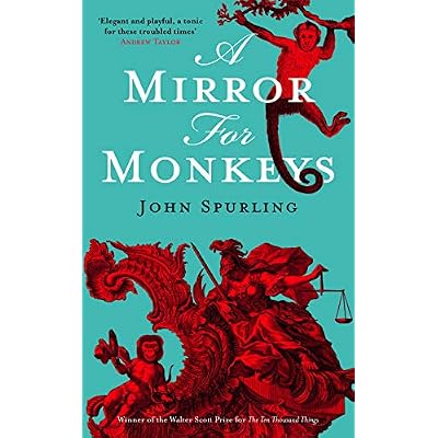 A Mirror for Monkeys