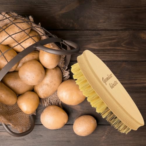 HOFMEISTER® Gemüsebürste 13,5 cm Holz - hochwertige Naturborsten in 2 Härtegraden: echt Union und Fibre, für Kartoffeln, Karotten & Gemüse, Wurzelbürste aus Buchen-Holz, Made in EU