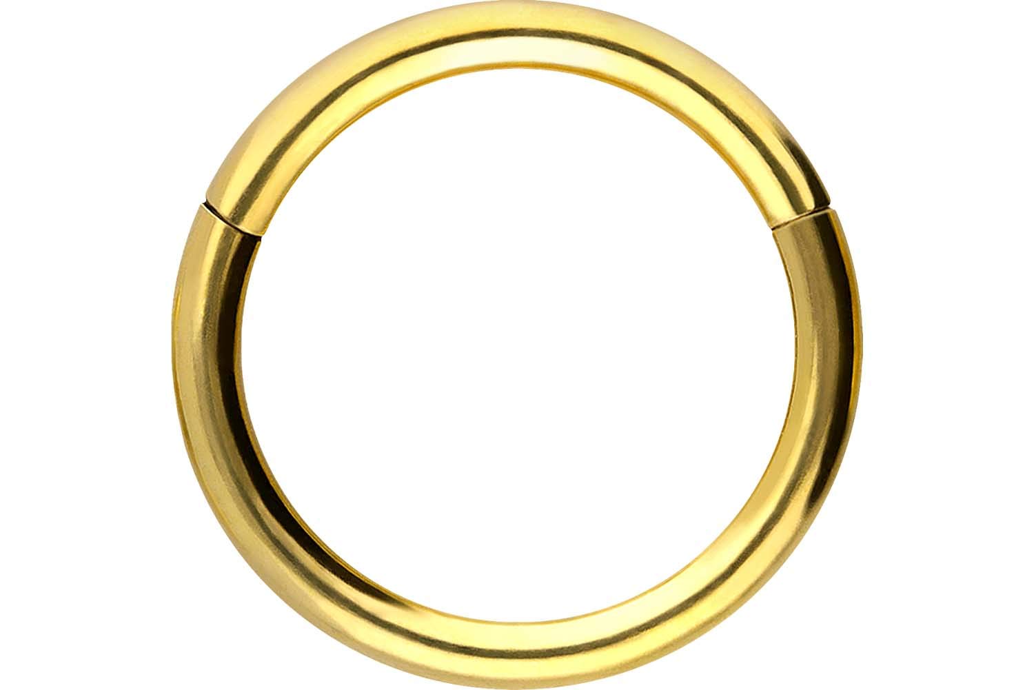 PIERCINGLINE Anillo segmento Clicker de acero quirúrgico – Piercing en oro, plata, rosa, negro o azul – para nariz, tabique, oreja, hélice o tragus — view 130