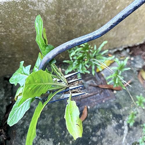 XFJTECH Nova ferramenta de remoção de ervas daninhas com comprimento de 36,5 cm de aço inoxidável mu