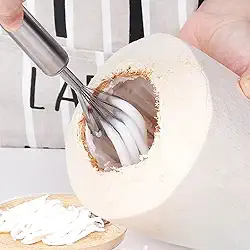 Ralador de coco multiuso de aço inoxidável, removedor de carne, melão, frutas, vegetais, escama de peixe, utensílios de cozinha