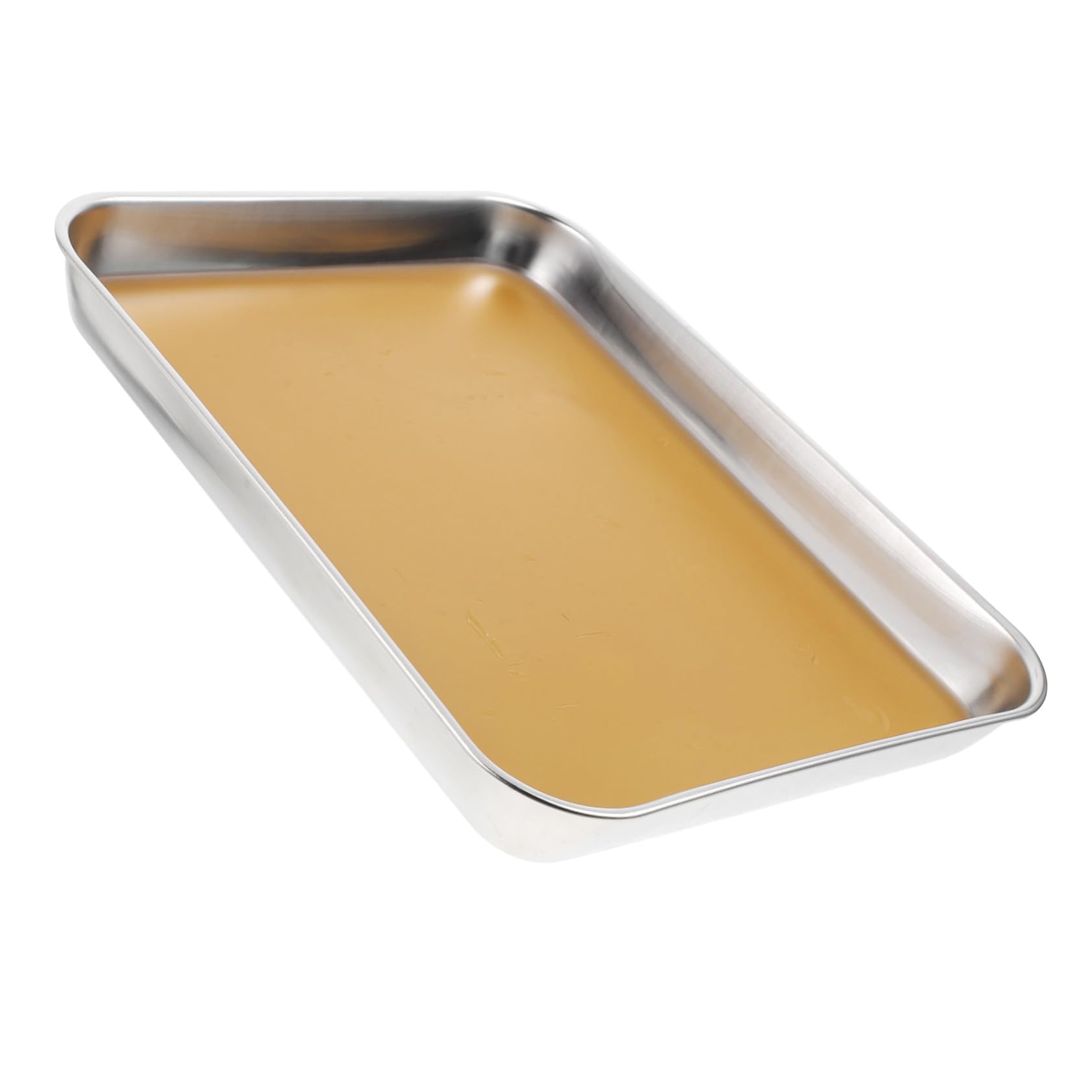 Mipcase Bandeja de Disección de Acero Inoxidable con Cera para Laboratorios de Biología Bandeja de Laboratorio de Metal para Experimentos