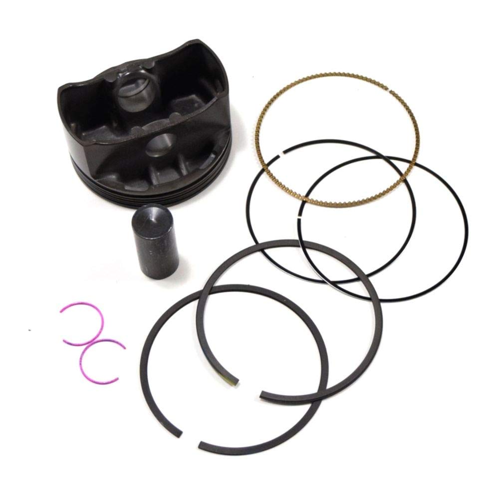Briggs & Stratton 595053 Lawn & Garden Equipment Engine Piston and Ring Kit Genuine Original Equipment Manufacturer (OEM) Part