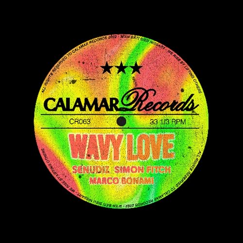 Senudiz, Simon Fitch, Marco Bonami - Wavy Love