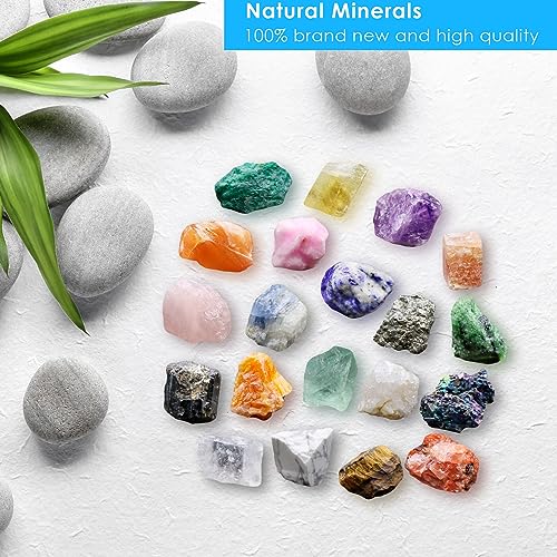 Mejores precios y opiniones de Colecciones minerales - solo los mejores. 8 Imagen adicional