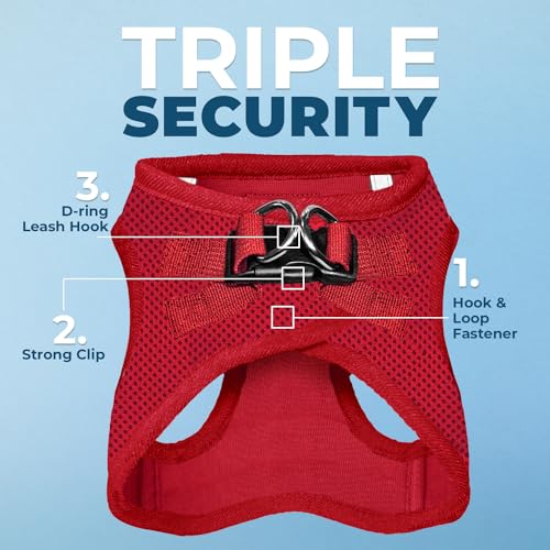 Image of Best Pet Supplies Voyager Step-in Air All Weather Mesh Harness and Reflective Dog 5 ft Leash Combo with Neoprene Handle, for Small, Medium and Large Breed Puppies - Harness Leash Set (Red), XXS