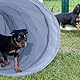 Relaxdays Hundetunnel, Spieltunnel für aktive Hunde, Hundetraining, 200 cm lang, Ø 40 cm, Faltbarer Agilitytunnel, grau